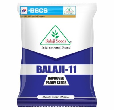 IMP.  BALAJI-11